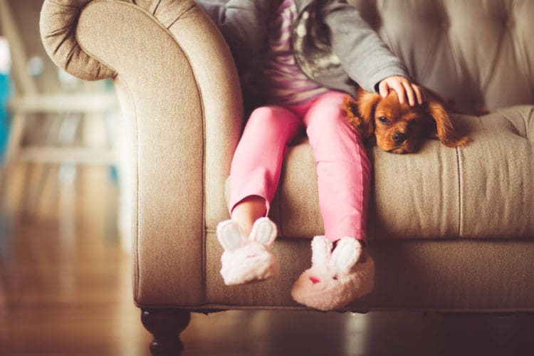 child with a toy dog