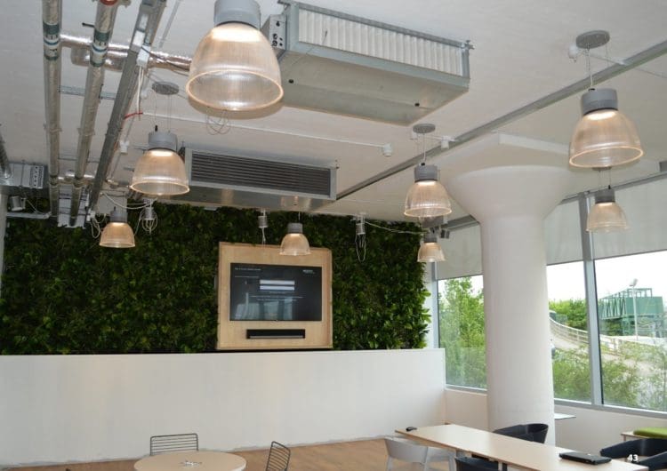 a biophilic office design with a wall of leaves