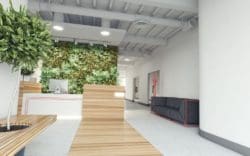 biophilic office interior design with walls of foliage and a reception desk