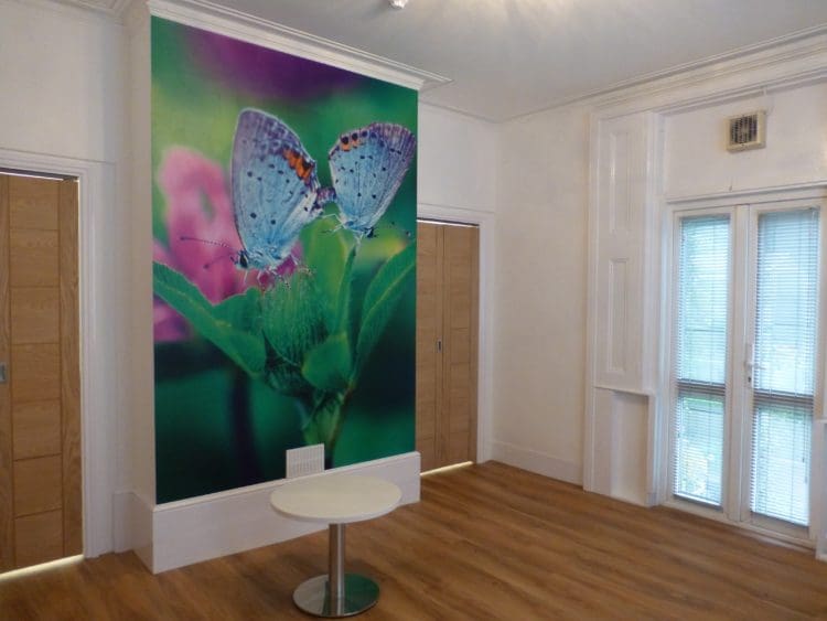 Charity and Healthcare Office Refurbishment for Mind in Maidstone Kent