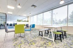 a commercial office breakout area with dining furniture and a colourful carpet