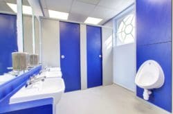 a london toilet refurbishment with a royal blue colour scheme and an ornamental window