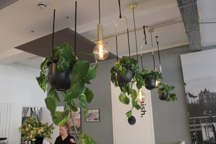 office plant ideas on show at Clerkenwell Design Week