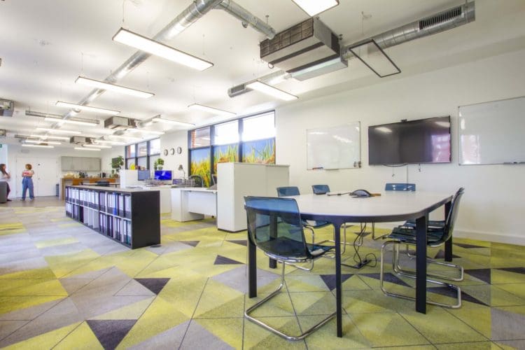 Modern office interiors with an open plan layout at Sun Valley Rice