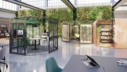 Colony office furniture solutions and a living wall