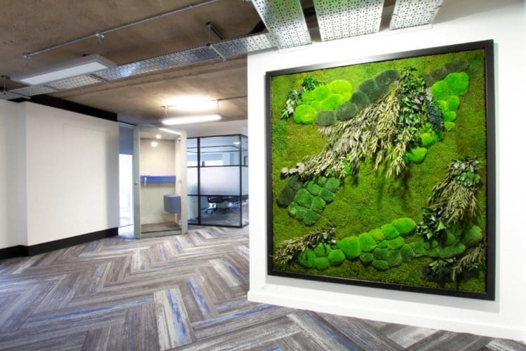Biophillic Office Design