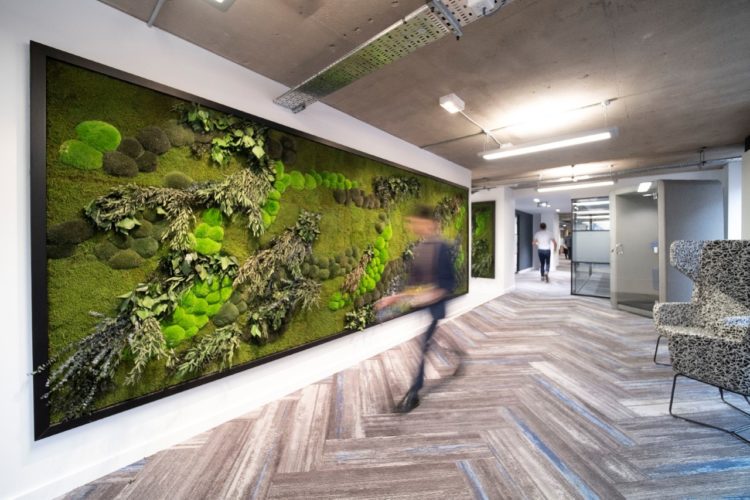 Green living wall of foliage and moss for a biophilic office design by Innerspace Cheshire