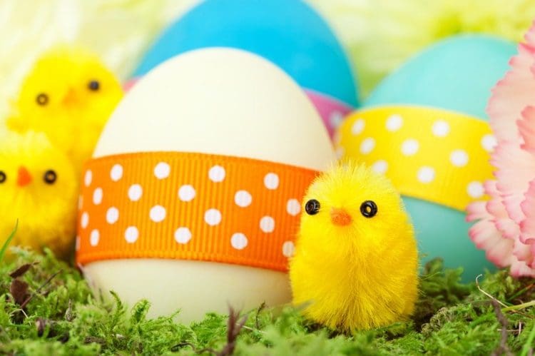 Easter Egg and Fluffy Chick