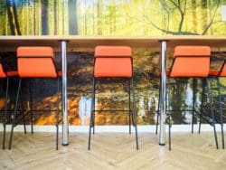 Neon orange bar stools in front of a nature inspired feature wall with a high bar table in a school coffee shop