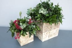 Innerspace Cheshire Natureverde planters in two different sizes