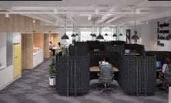 Diffuse workbox acoustic screens creating singular working environments in an open plan office for individual work