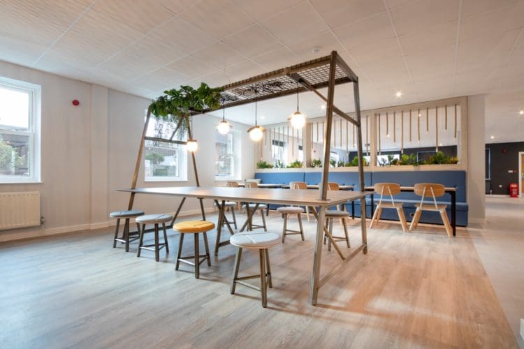 Frovi Relic office table draped in biophilia