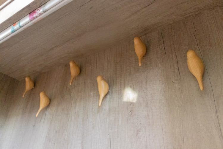 Bird shaped coat pegs for school children