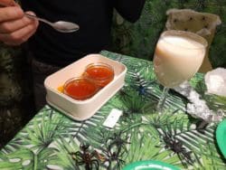 Jungle treat for a charity bushtucker trial