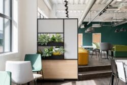 Dividing panel incorporating biophilic elements enhancing the sense of wellbeing within the staff dining space.