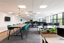 Open plan office layout with collaboration tables, office desks and planter top storage units.
