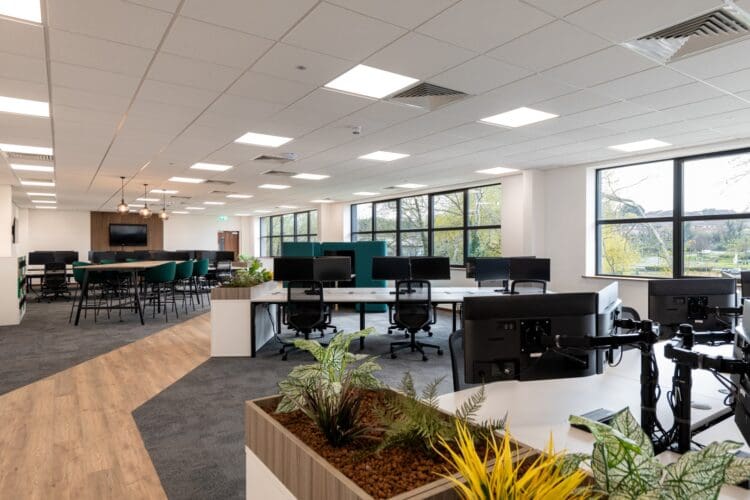 Bright fresh modern office design and fit out with biophilic elements at Albion Fine Foods, Kent.