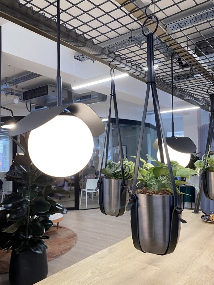 Suspended biophilic baskets on office collaboration table by Frovi.