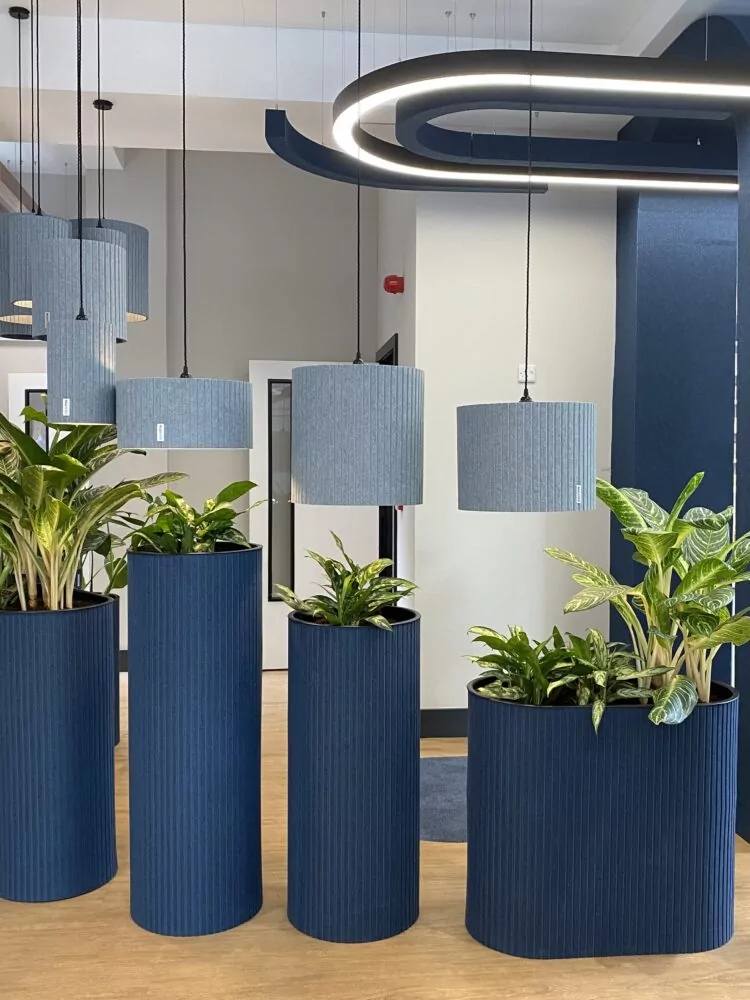 Office acoustic solutions by Allsfar including acoustic planters, light shades and ceiling baffles.