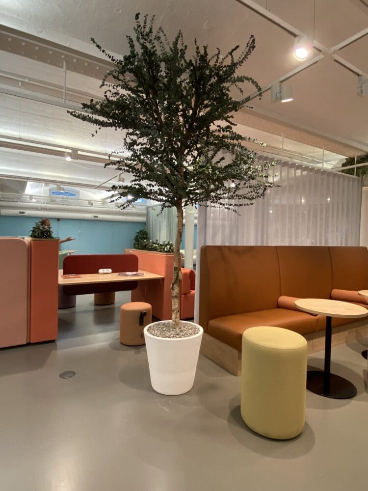 Natural preserved living tree incorporated in an interior design scheme by Innerspace Cheshire.