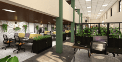3D visualisation render of modern workspace interior design scheme.
