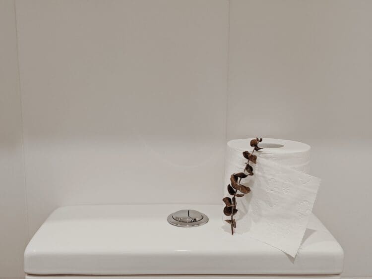 Washroom refurbishment with sustainable fixtures for water saving choices.