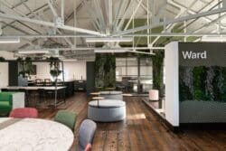 Biophilic feature wall in office interior design project for Ward Security, Kent.