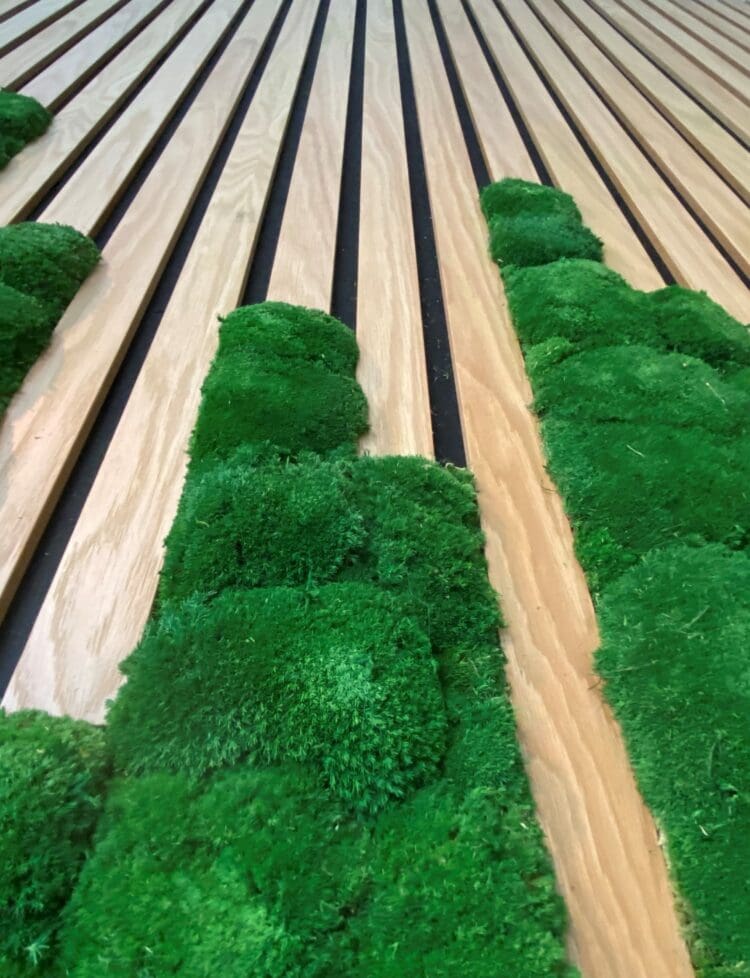 Wood slat and moss feature wall in London office refurbishment project.