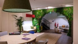 Orn Furniture showroom design with large pendant light and biophilic wall.