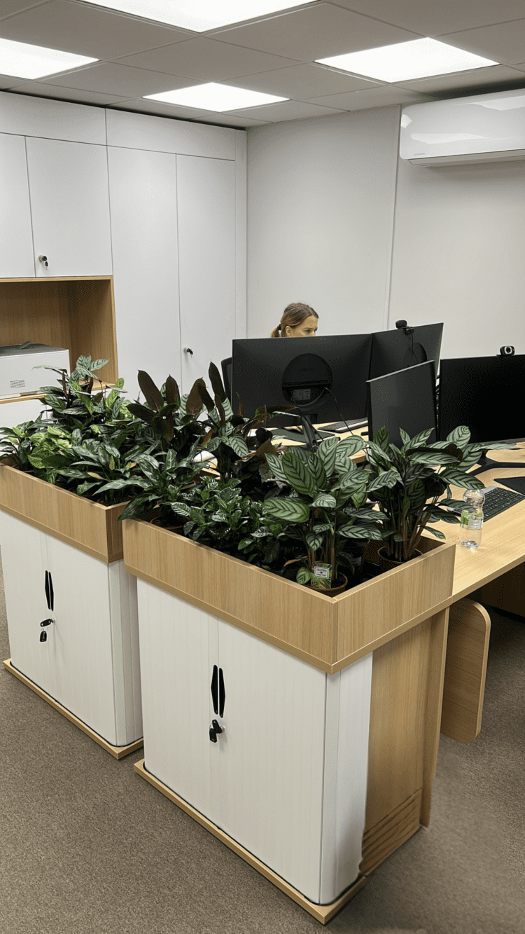 Almit office refurbishment with bespoke storage and biophilic planter tops.