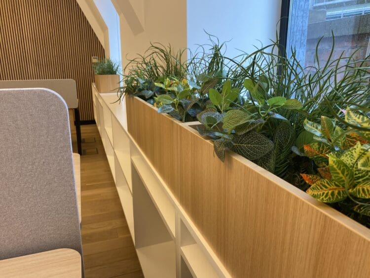 Biophilic planters in London office refurbishment.