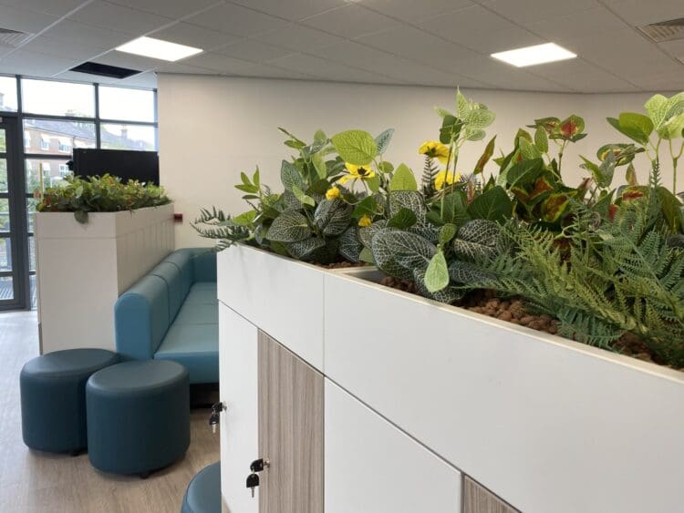 Bespoke locker system with planter tops in sixth form refurbishment project London