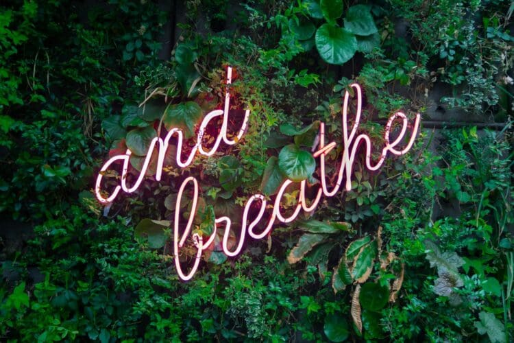 Biophilic feature walll with neon sign encouraging calm at work.